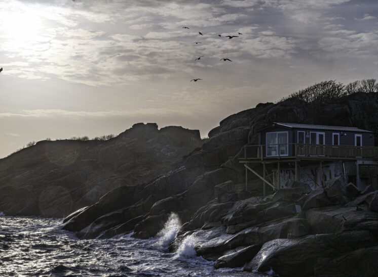 Lofoten - Honingsvar