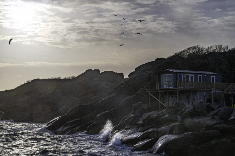 Lofoten - Honingsvar